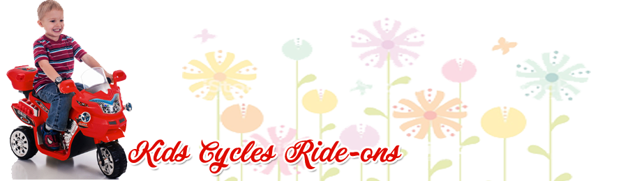 Bicycles Bicycles